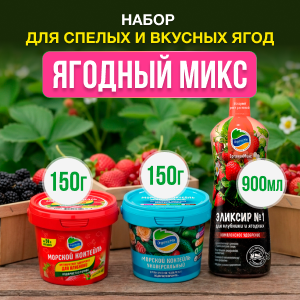 Набор ЯГОДНЫЙ МИКС от Органик Микс  