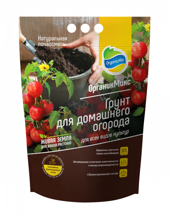 Когда убирать свеклу и морковь с грядки: благоприятные дни, правила хранения