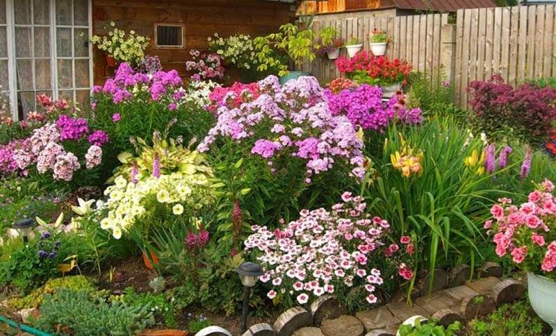 Как украсить садовый участок цветами