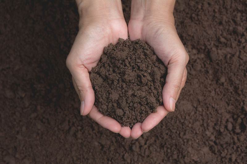 Как определить тип почвы