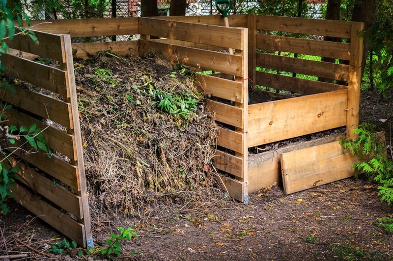 Je možné dát hnůj do kompostu?