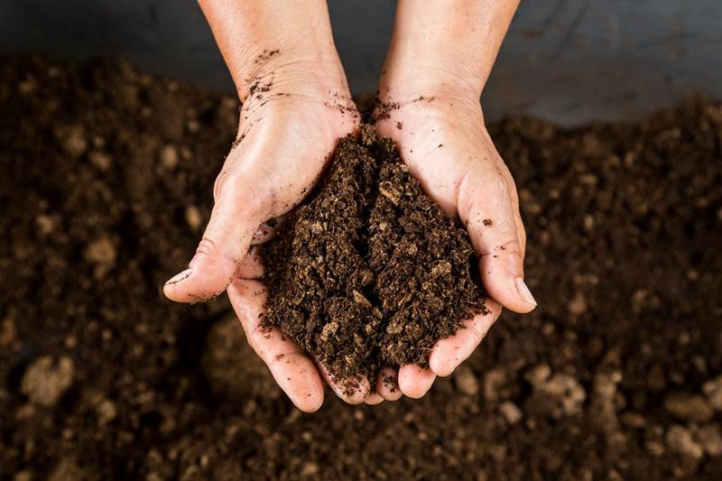 Тип почвы на участке – как определить и улучшить структуру