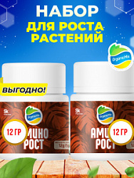 АМИНОРОСТ 12 гр (1+1) - Комбо от Органик Микс (АКЦИЯ)