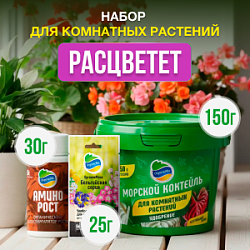 Набор РАСЦВЕТЕТ от Органик Микс 