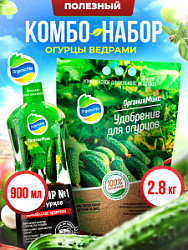 ОГУРЦЫ ВЕДРАМИ - Комбо от Органик Микс